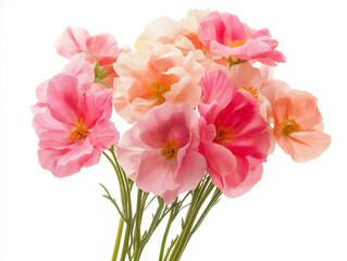 Fototapeta premium flower bouquet