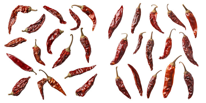 set of dried red chili peppers on a transparent background