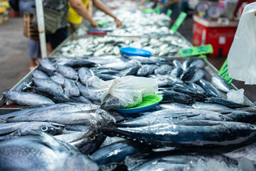 Background of Skipjack tuna sea fish sell in fishery fresh market