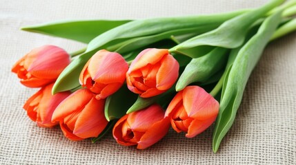 Obraz premium Close-up of orange tulips on a soft cotton background, showing each wrinkle and petal vein in detail