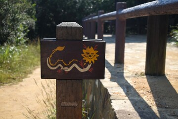 Wooden dragon sign at Dragon’s Back in Hong Kong