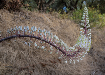 tour through Greece`s beautiful nature