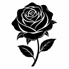 black and white rose