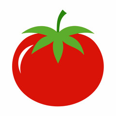 tomato illustration