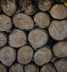 Stacked lumber logs. the texture and grain of the wood
