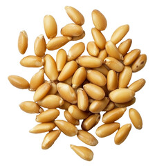 Raw pine nuts scattered on a white surface isolated transparent