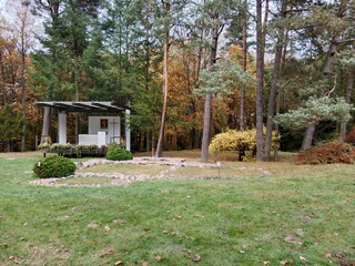 Experience the Magic of Autumn Forest Walks – Crisp Air, Golden Leaves & Serenity