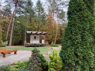 Experience the Magic of Autumn Forest Walks &ndash; Crisp Air, Golden Leaves & Serenity