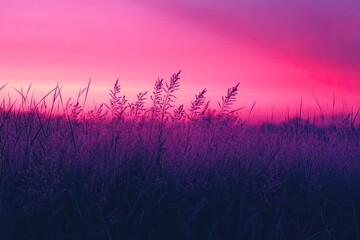 Fototapeta premium Gradient transitioning from sunset pink to deep purple with a grain overlay, for bold visual appeal