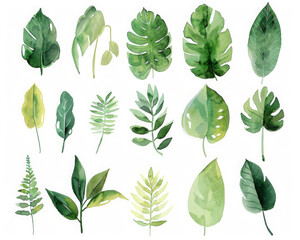 Lush green leaves in various shapes and sizes create vibrant and calming atmosphere, showcasing beauty of nature through soft watercolor art