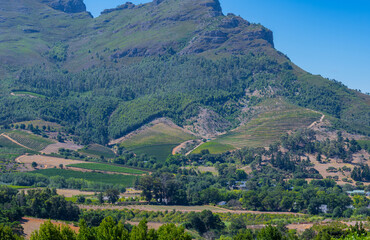 Weinanbaugebiet in der Weinregion und Stadt Stellenbosch