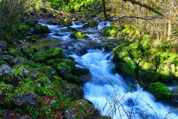 Scenes of Slovenia