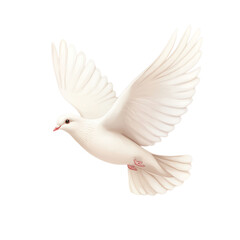 Fototapeta premium White dove in mid-flight, isolated on a white background. transparent background