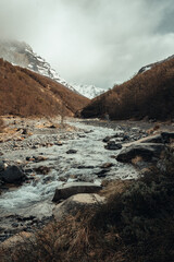 Landscape in Torres del Paine National Park - Chile - Patagonia