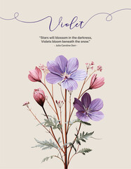 Elegant Hot Purple Violet Flower with Blossoming Buds and Delicate Leaves. Flower card.