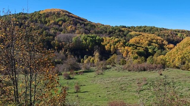 Panoramic view of wild abruzzo mountains with colorful forest