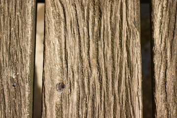 Photo of rough wood texture. Wooden plank surface. Detail of wood texture on wooden bench planks. Board, wood, material, texture.
