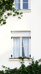 white window framed by greenery