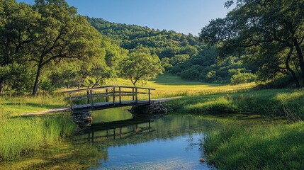 Fototapeta premium Peaceful Meadow with Bridge and Creek in Forested Hills