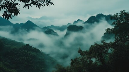 Obraz premium Misty mountains surrounded by lush green foliage and atmospheric clouds.