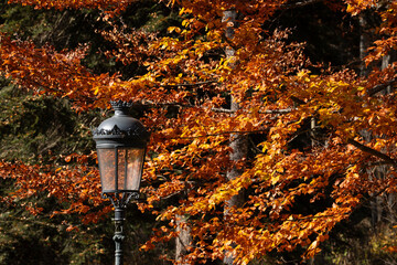 lantern in the park