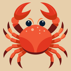 red crab isolated on white