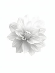 A stylized white flower with layered petals, symbolizing purity and tranquility.