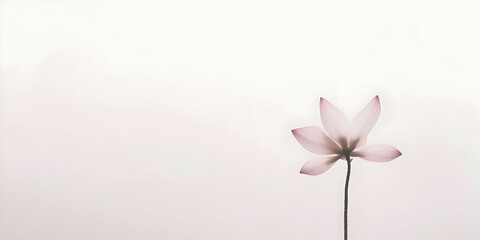 Naklejka premium A delicate pink lotus flower stands against a soft, ethereal background.