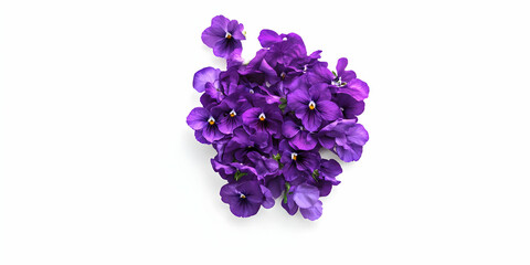A vibrant cluster of purple flowers against a white background, showcasing natural beauty.
