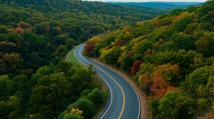 Fototapeta premium Winding Road Through Autumn Forest Aerial View