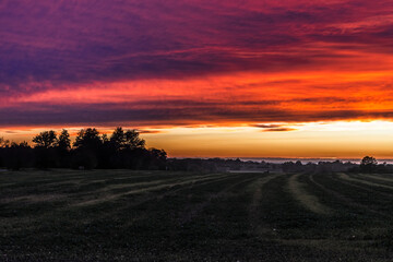 Spectacular, bright red and purple evening sky over a field, copy space