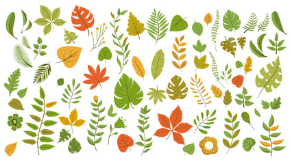 Autumn leaves vector collection - Set or bundle of decorative leaf graphic design elements in colourful green, red and orange colours on warm background, flat design simple objects
