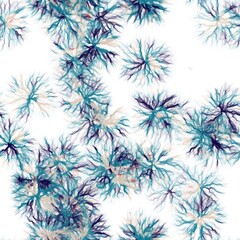 Dandelions. Hand drawn  watercolor floral motive on white background. Dark slate blue, dirty blue, oyster pink and brick red colors. Seamless pattern