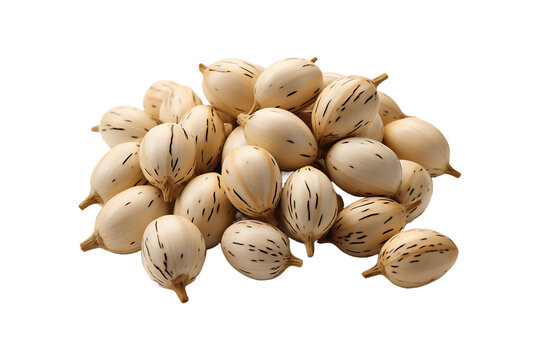 Buchanania Lanzan Seed on transparent background.