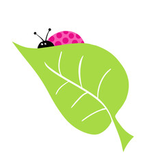 Ilustração Vetorial folha, natureza, joaninha, planta, inseto, primavera, verão, relva, vector, cadeia alimentar, cercar, bichinho de estimação, besouro, ajardinar, macro, flora, ilustração, árvore, m