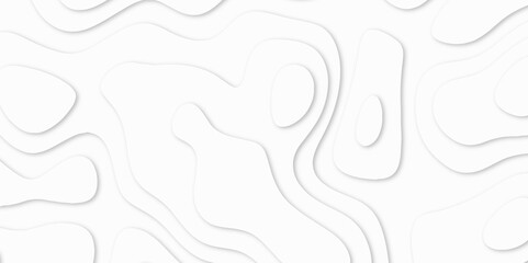 Abstract White paper cut background with lines. Topographic map in contour line light topographic topo contour map. white line drawing geometric paper art design. 3d papercut decoration textured. maps