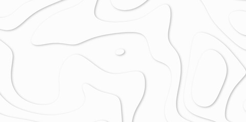 Abstract White paper cut background with lines. Topographic map in contour line light topographic topo contour map. white line drawing geometric paper art design. 3d papercut decoration textured. maps