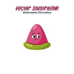 Watermelon character or mascot Cartoon watermelon character vector