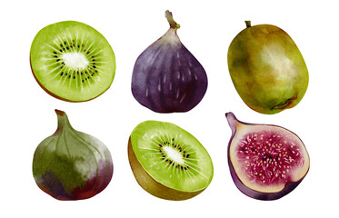 Watercolor set with kiwi and figs fruits. Hand painted illustration for design kitchen, biofood, menu, clipart, stikers, healthy eating, market. 