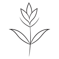 Lavender Flower Vector Illustration, Lavender Floral Design Vector Art, Lavender Herb Vector – Botanical Illustration