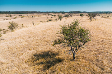 Scenic panorama of dry fields and hills highlights the effects of drought, creating a striking view of the African environment