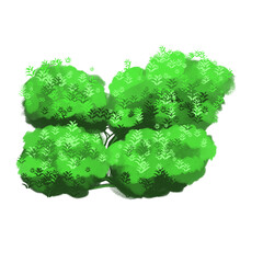 Diverse Green Foliage Illustrations: Trees and Bushes with Leafy Texture