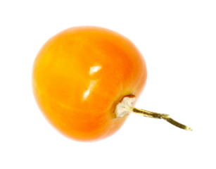 Physalis, groundcherrie isolated on white