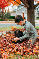 A boy and his dog play together in a pile of leaves in a suburban yard