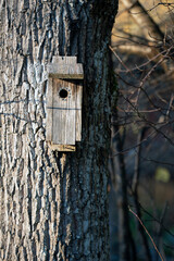 wooden bird house, nacka,sverige,sweden,stockholm,Mats,autumn