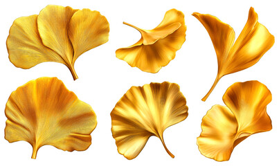 Naklejka premium Collection of Golden ginkgo leaves isolate on transparent background, cutout, png