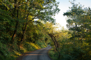 Randonnée dans les Pyrénées - Mas d'Azil