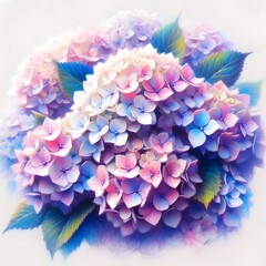 Obraz premium 수국, 파스텔화 (Chinese sweetleaf, pastel painting)