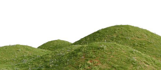 Grassy hill with flowers on a transparent background. 3D rendering.