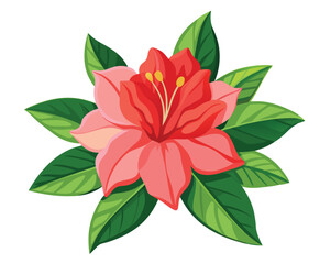 Azalea flower vector illustration on white background